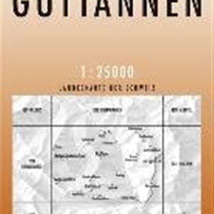 Guttannen: 2019