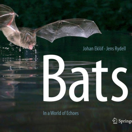 Bats: In a World of Echoes