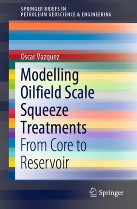 Modelling Oilfield Scale Squeeze Treatments: From
