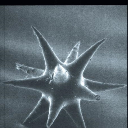 Lineare Algebra und Analytische Geometrie II: