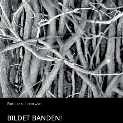 Bildet Banden Argumentationshilfen gegen eine