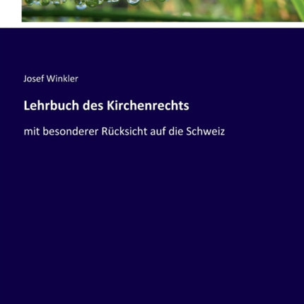 Lehrbuch des Kirchenrechts: mit besonderer Rücksicht auf die Schweiz