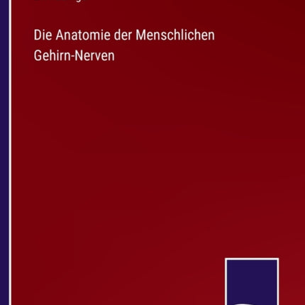 Die Anatomie der Menschlichen Gehirn-Nerven