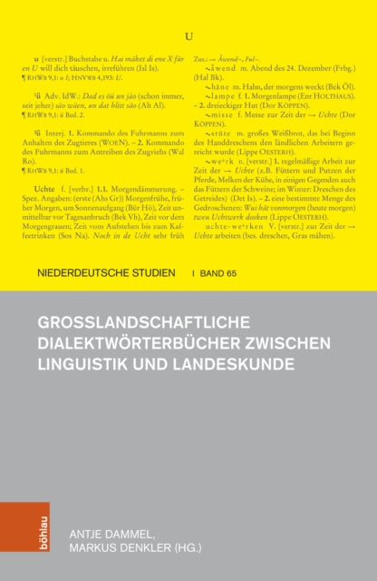 GroÃŸlandschaftliche DialektwÃrterbÃcher zwischen Linguistik und Landeskunde