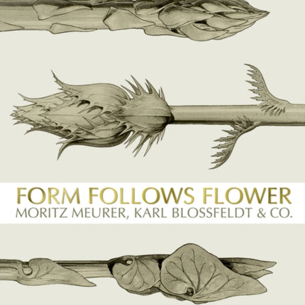 Form Follows Flower: Moritz Meurer, Karl