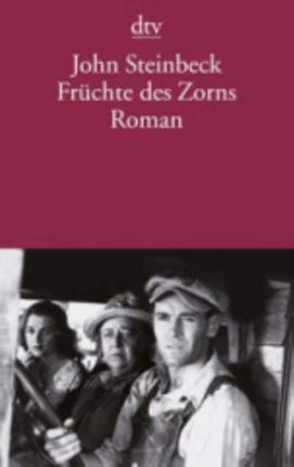 Fruchte des Zorns Roman