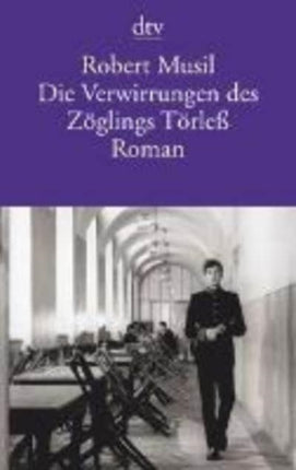 Die Verwirrungen des Zoglings Torless Roman