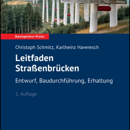 Leitfaden Straßenbrucken