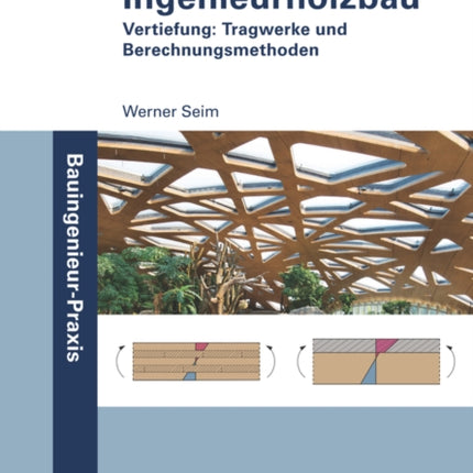 Ingenieurholzbau: Vertiefung: Tragwerke und