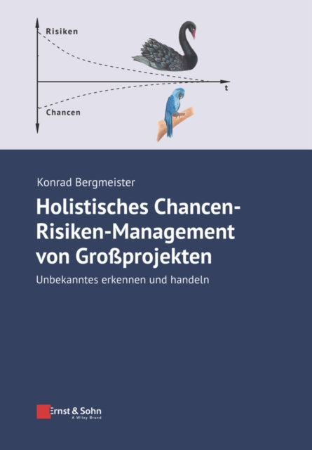 Holistisches Chancen-Risiken-Management von Grossprojekten: Unbekanntes erkennen und handeln