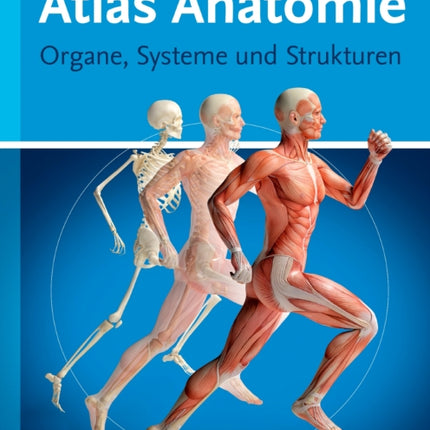 Atlas Anatomie Organe Systeme und Strukturen