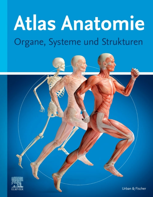 Atlas Anatomie Organe Systeme und Strukturen