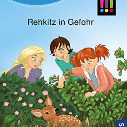 Die drei  Bcherhelden 2 Klasse Rehkitz in Gefahr