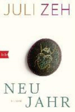 Neujahr Roman