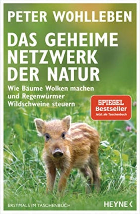 Das geheime Netzwerk der Natur Wie Bume Wolken machen und Regenwrmer Wildschweine steuern