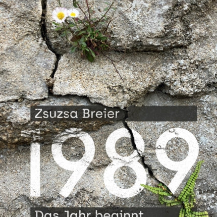 1989: Das Jahr beginnt