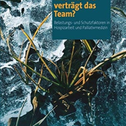 Wie viel Tod verträgt das Team?: Belastungs- und Schutzfaktoren in Hospizarbeit und Palliativmedizin