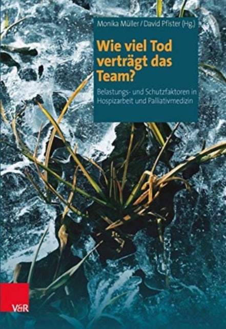 Wie viel Tod verträgt das Team?: Belastungs- und Schutzfaktoren in Hospizarbeit und Palliativmedizin