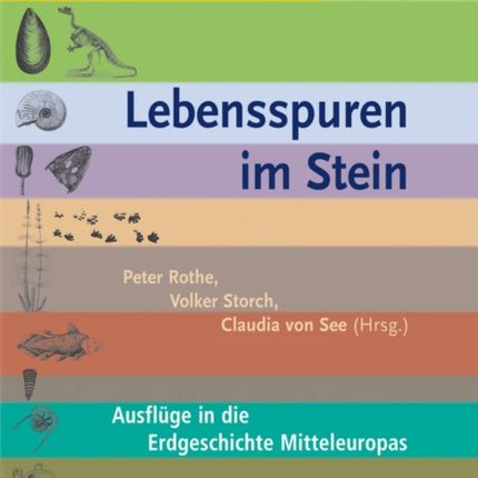 Lebensspuren im Stein: Ausfluge in die Erdgeschichte Mitteleuropas