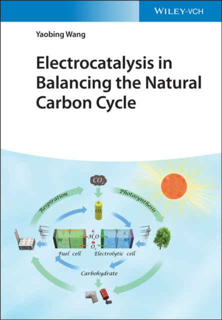 Electrocatalysis in Balancing the Natural Carbon Cycle