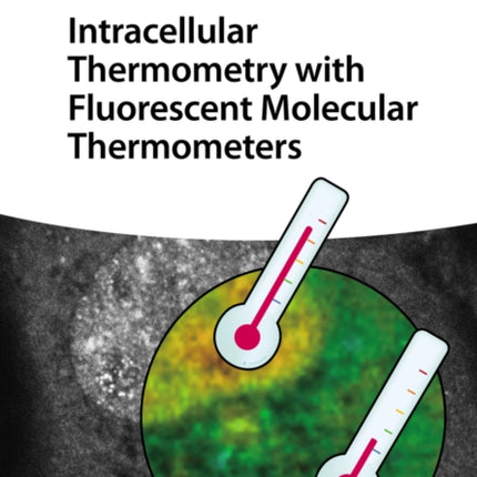 Intracellular Thermometry with Fluorescent Molecular Thermometers