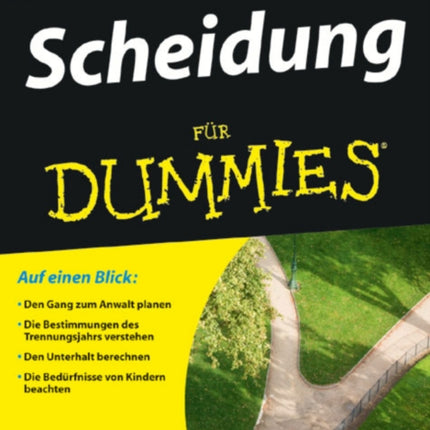 Scheidung für Dummies