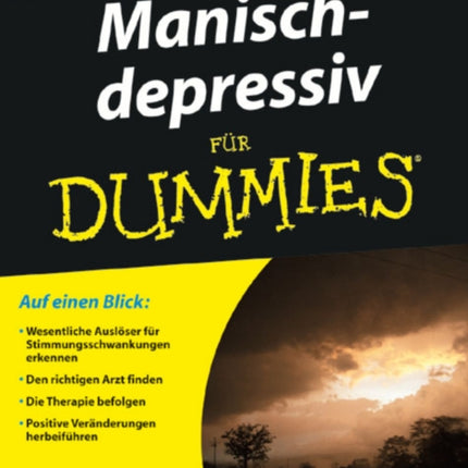 Manisch-depressiv für Dummies