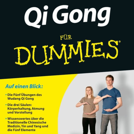 Qi Gong für Dummies