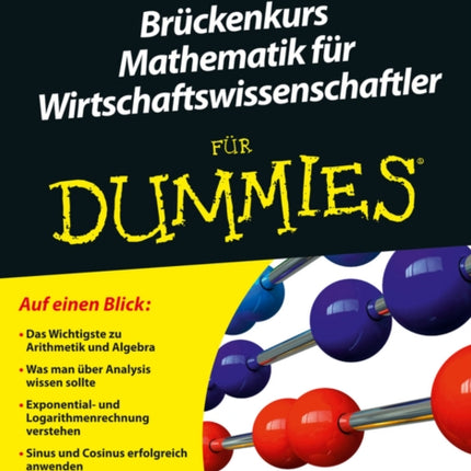 Brückenkurs Mathematik für Wirtschaftswissenschaftler für Dummies