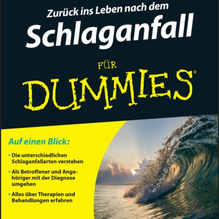 Zurück ins Leben nach dem Schlaganfall für Dummies