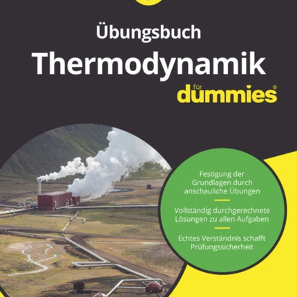 Übungsbuch Thermodynamik für Dummies