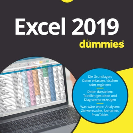 Excel 2019 für Dummies