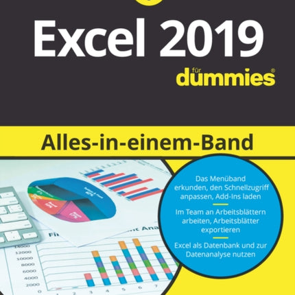 Excel 2019 Alles-in-einem-Band für Dummies