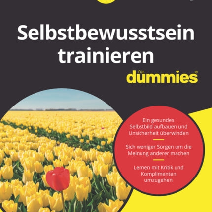 Selbstbewusstsein trainieren für Dummies