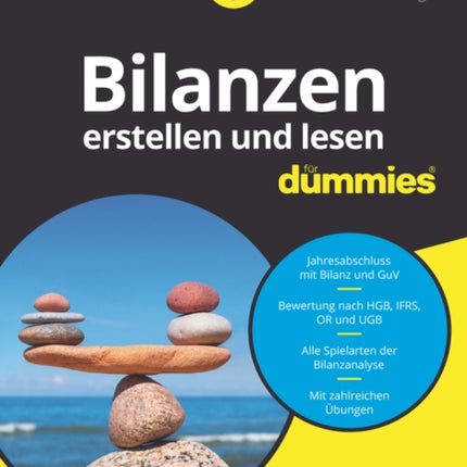 Bilanzen erstellen und lesen für Dummies