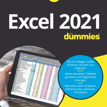 Excel 2021 für Dummies