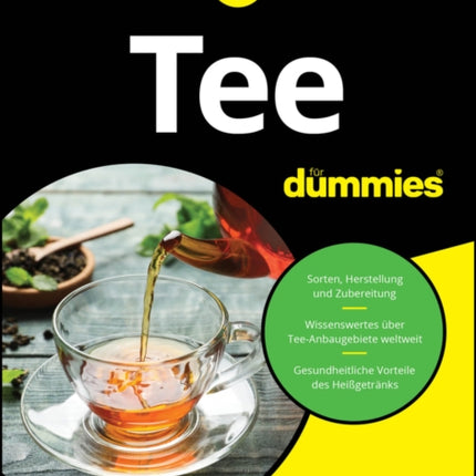 Tee f252r Dummies