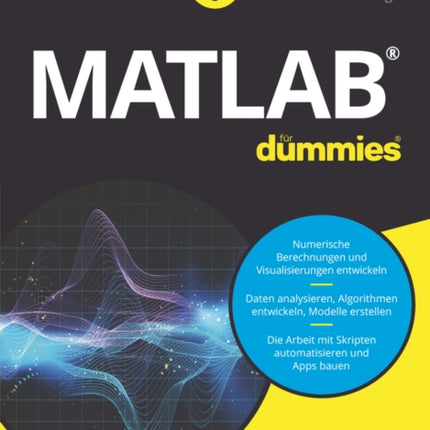 Matlab fur Dummies
