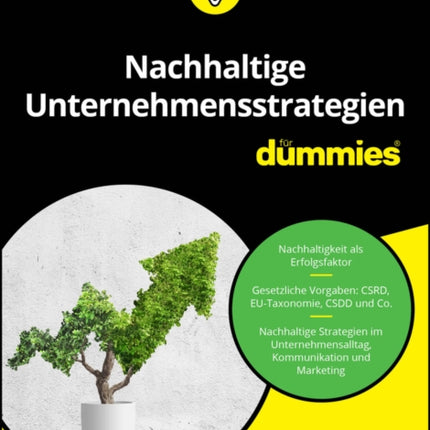 Nachhaltige Unternehmensstrategien fur Dummies