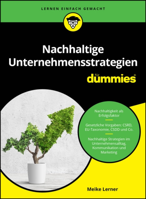 Nachhaltige Unternehmensstrategien fur Dummies