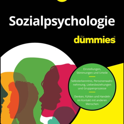 Sozialpsychologie f252r Dummies