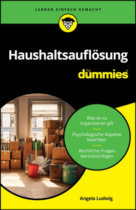 Haushaltsaufl246sung f252r Dummies