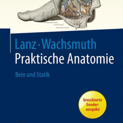 Bein und Statik