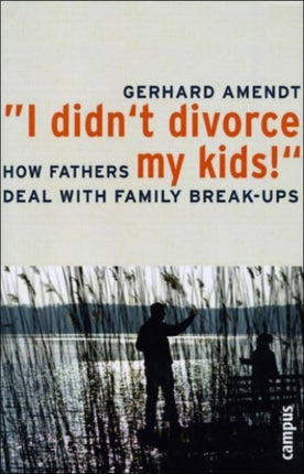 I Didn't Divorce My Kids! : How Fathers Deal