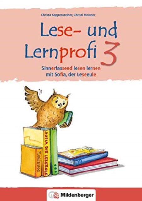 Lese und Lernprofi 3 NEU  Schlerarbeitsheft  silbierte Ausgabe Sinnerfassend lesen lernen mit Sofia der Leseeule 3 Klasse