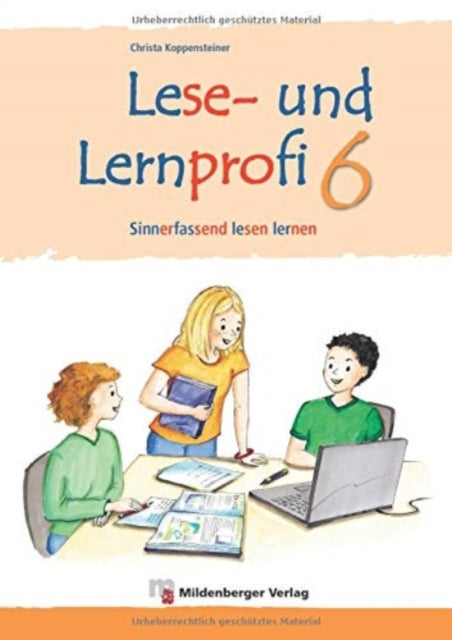 Lese und Lernprofi 6  Schlerarbeitsheft  silbierte Ausgabe Sinnerfassend lesen lernen in Klasse 6