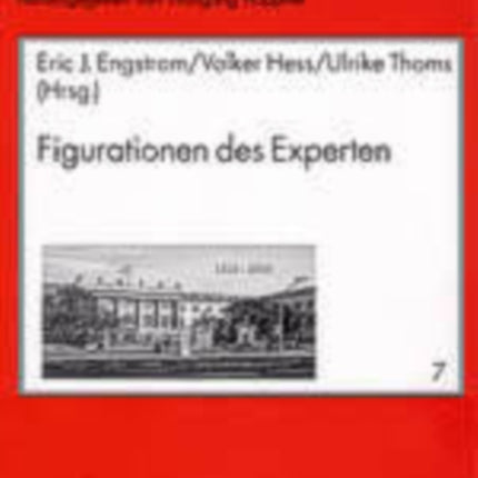 Figurationen Des Experten
