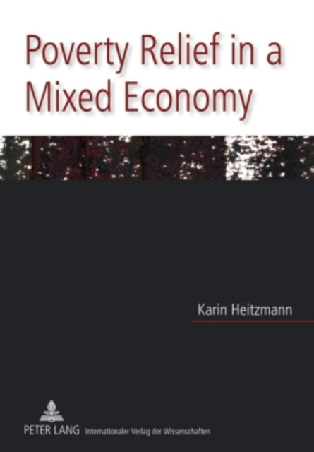 Poverty Relief in a Mixed Economy: Theory of and