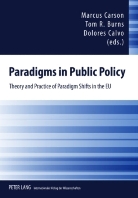 Paradigms in Public Policy: Theory and Practice