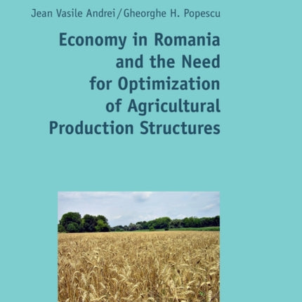 Economy in Romania and the Need for Optimization